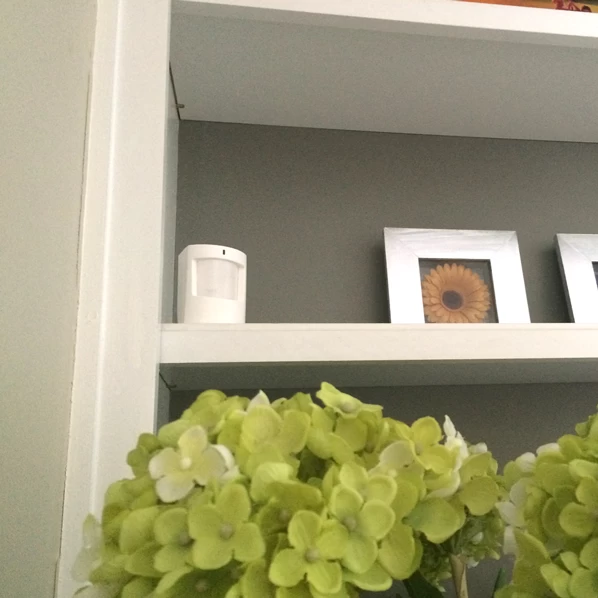 Qolsys QS1231-840 IQ Wireless PIR Motion S-Line Sensor - Image 3